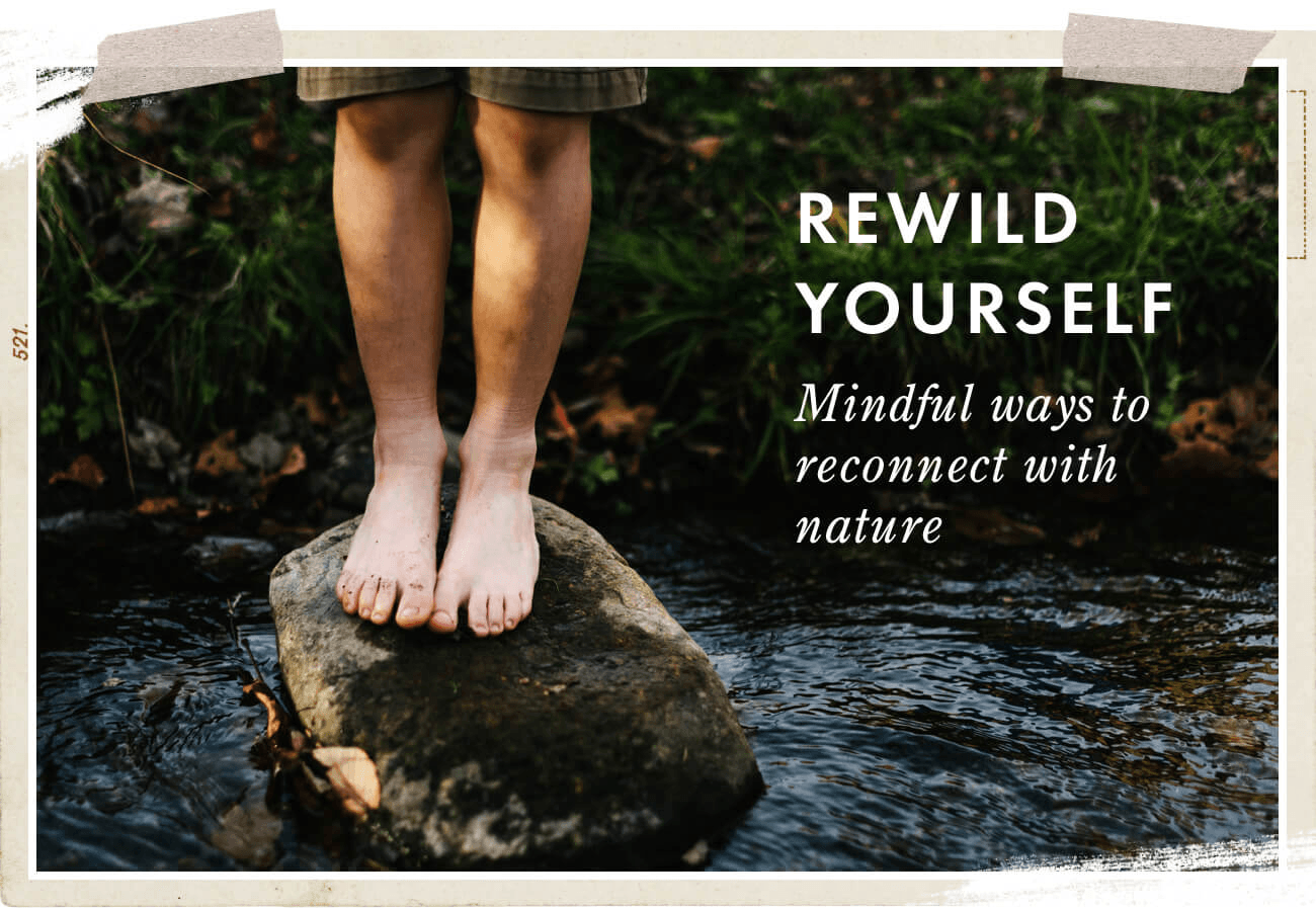 GrahamandGreen Rewild Yourself Blog Hero